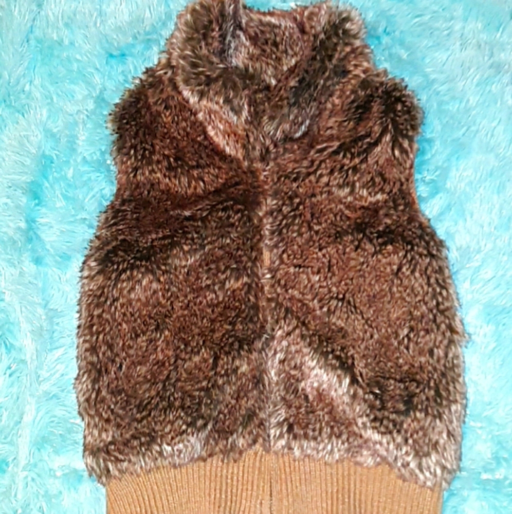 Vest